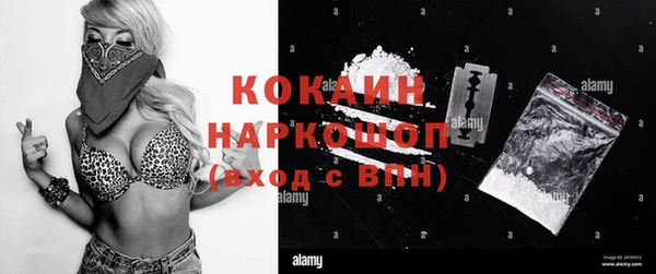 индика Сосновка