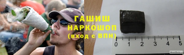 индика Сосновка